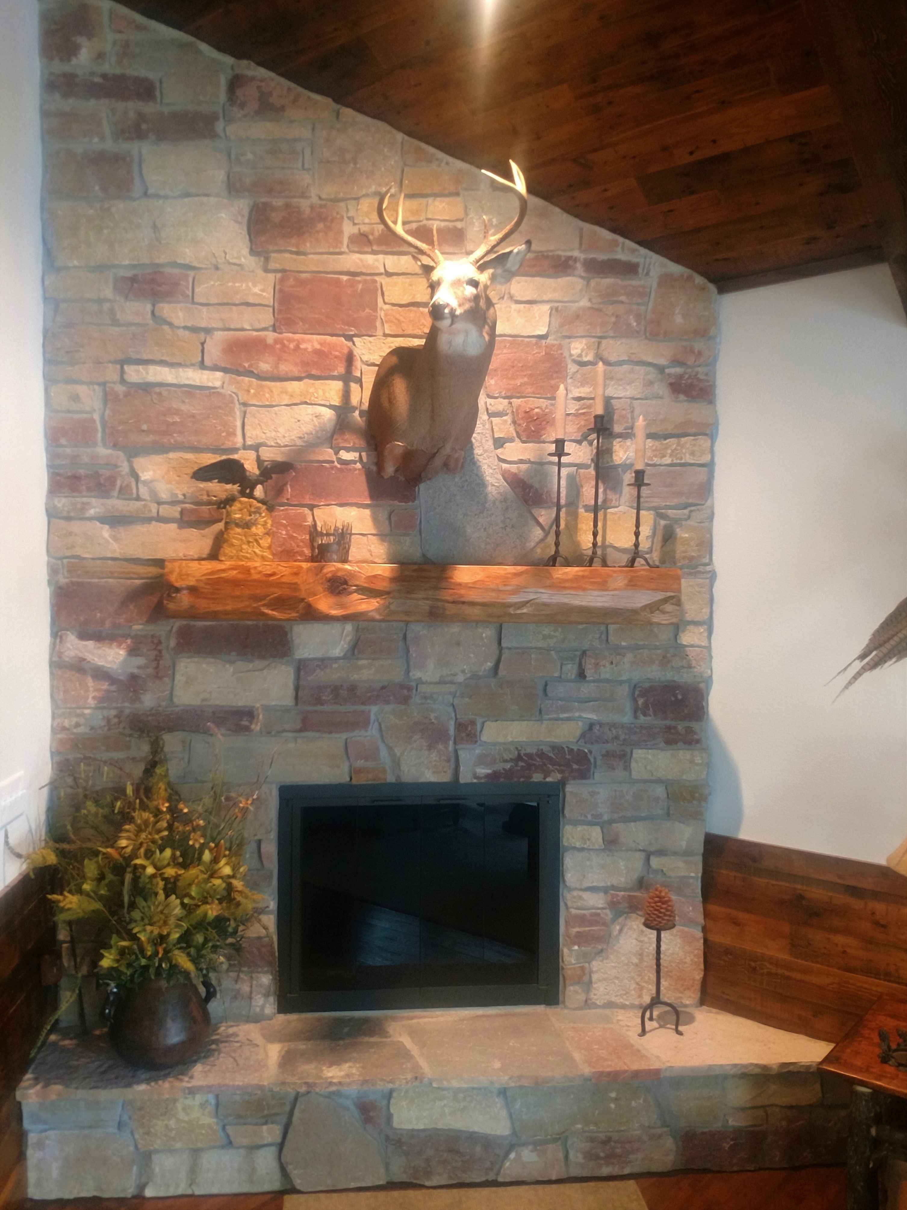 Hulaput Cihaco Full Cedar